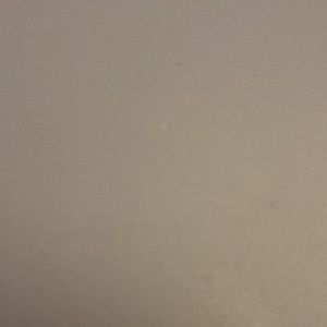 Meet your Posher, Maya